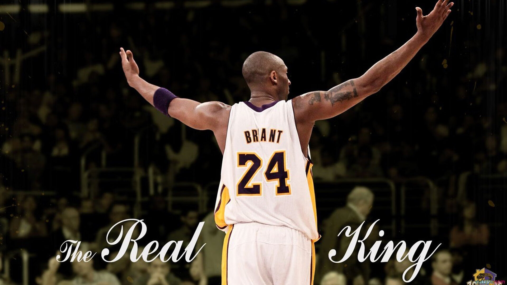 美洲杯激战再起:明星频频发光!,z美洲杯